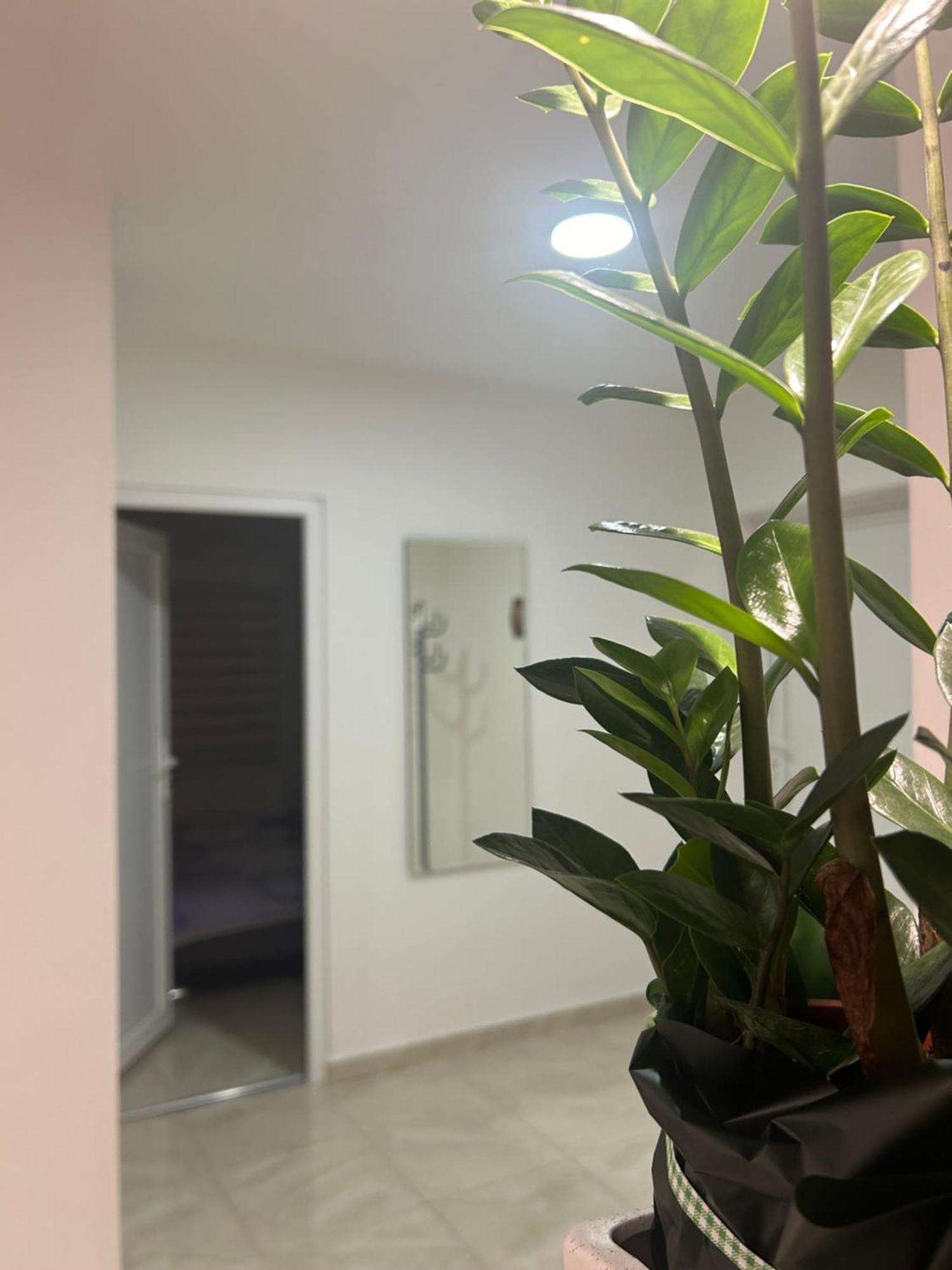 Apartman Diamond Lux Surčin Exteriér fotografie
