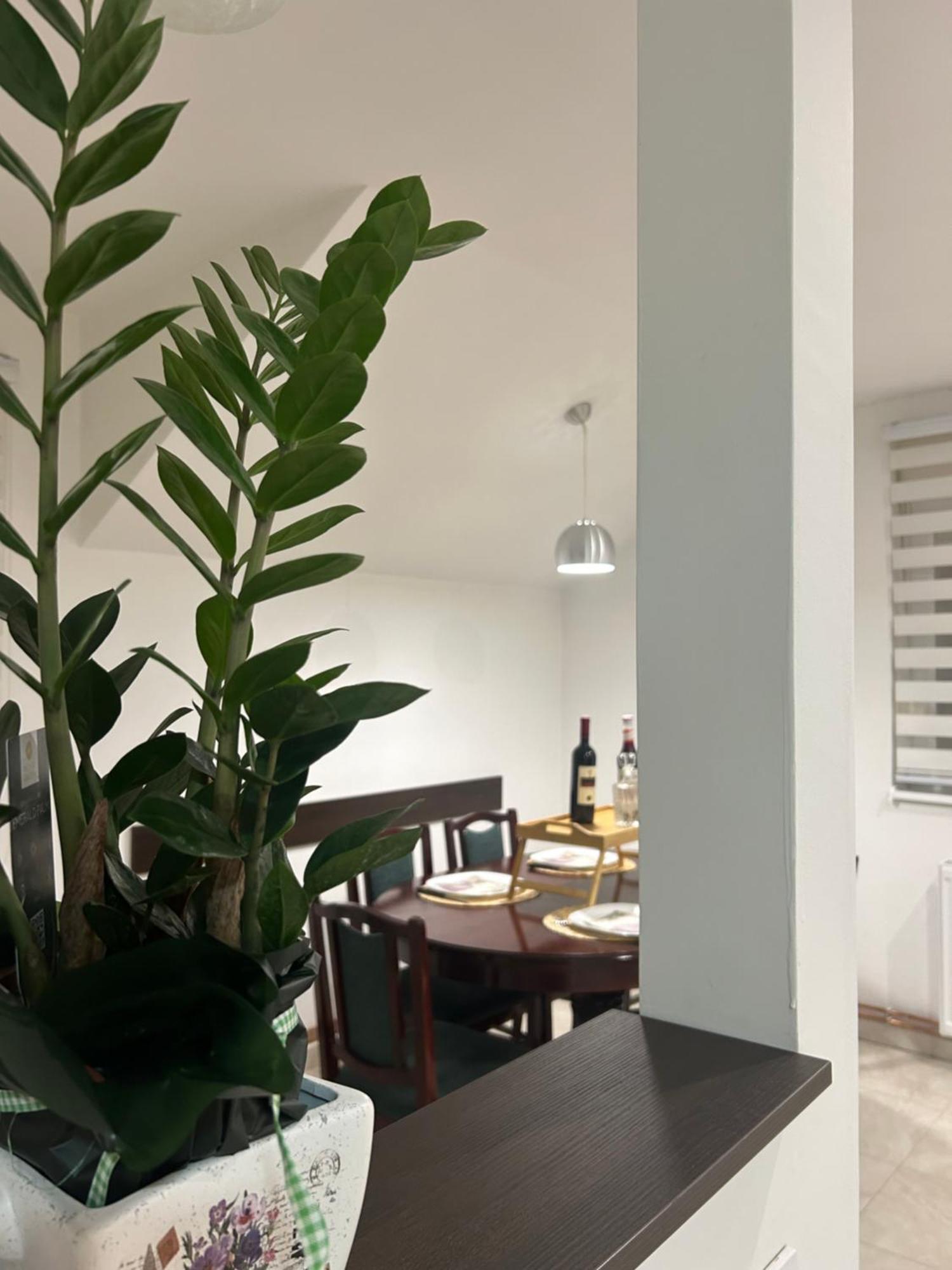 Apartman Diamond Lux Surčin Exteriér fotografie