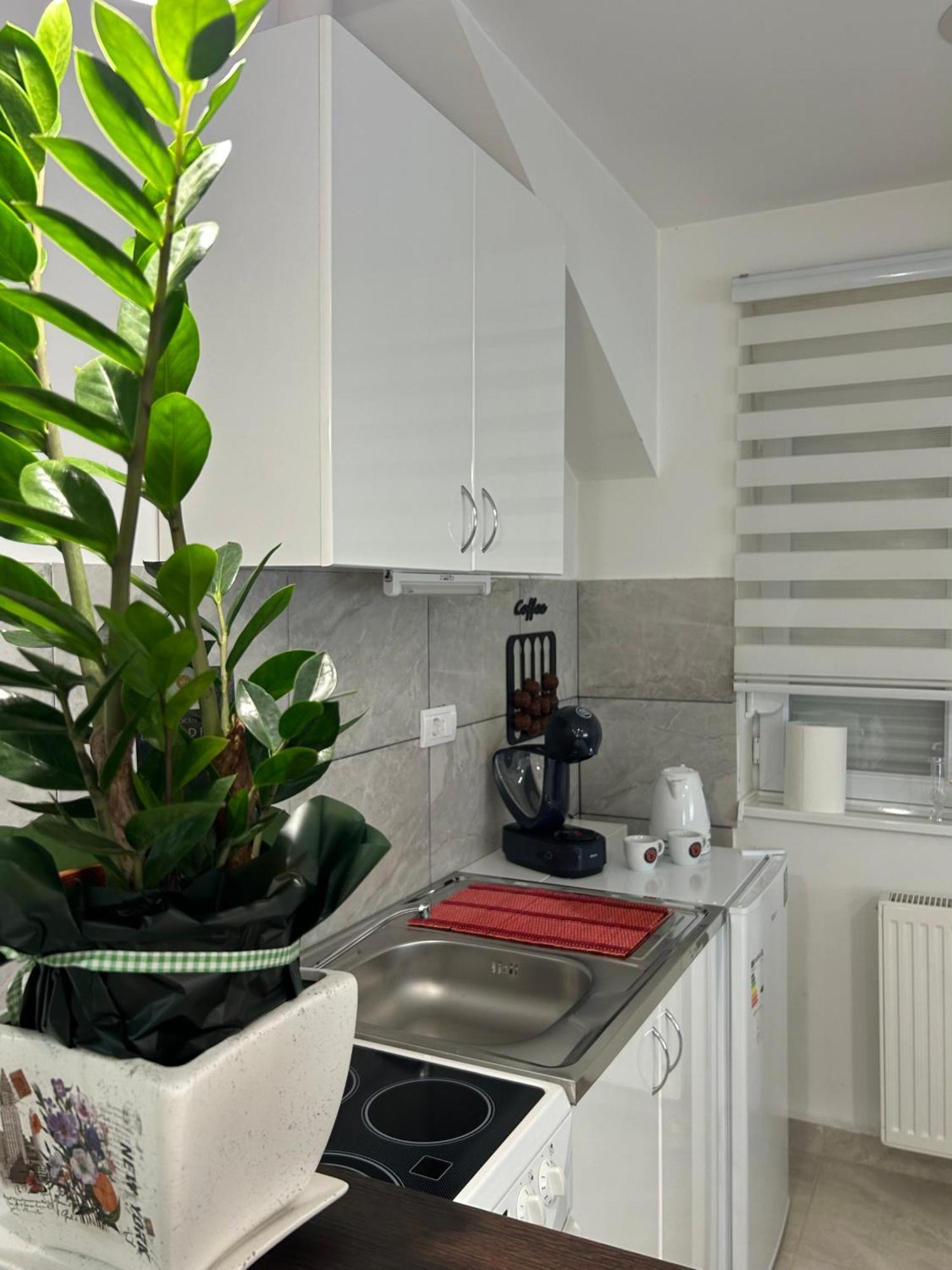 Apartman Diamond Lux Surčin Exteriér fotografie